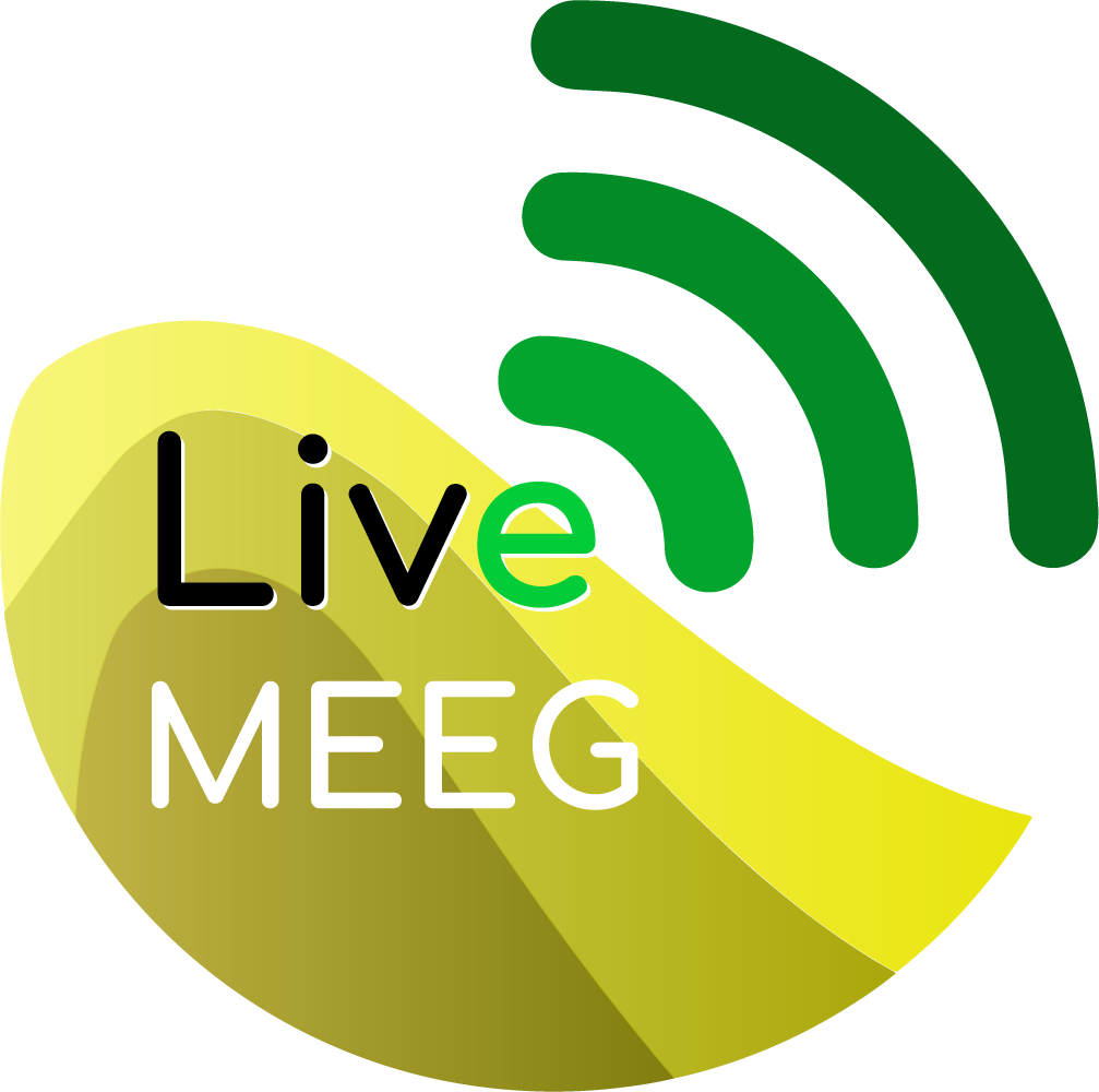 LiveMEEG 2020